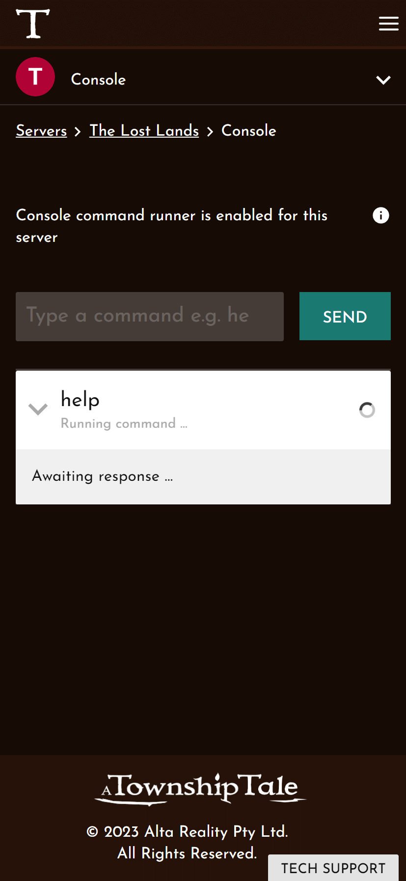 Screenshot of Server Console on mobile