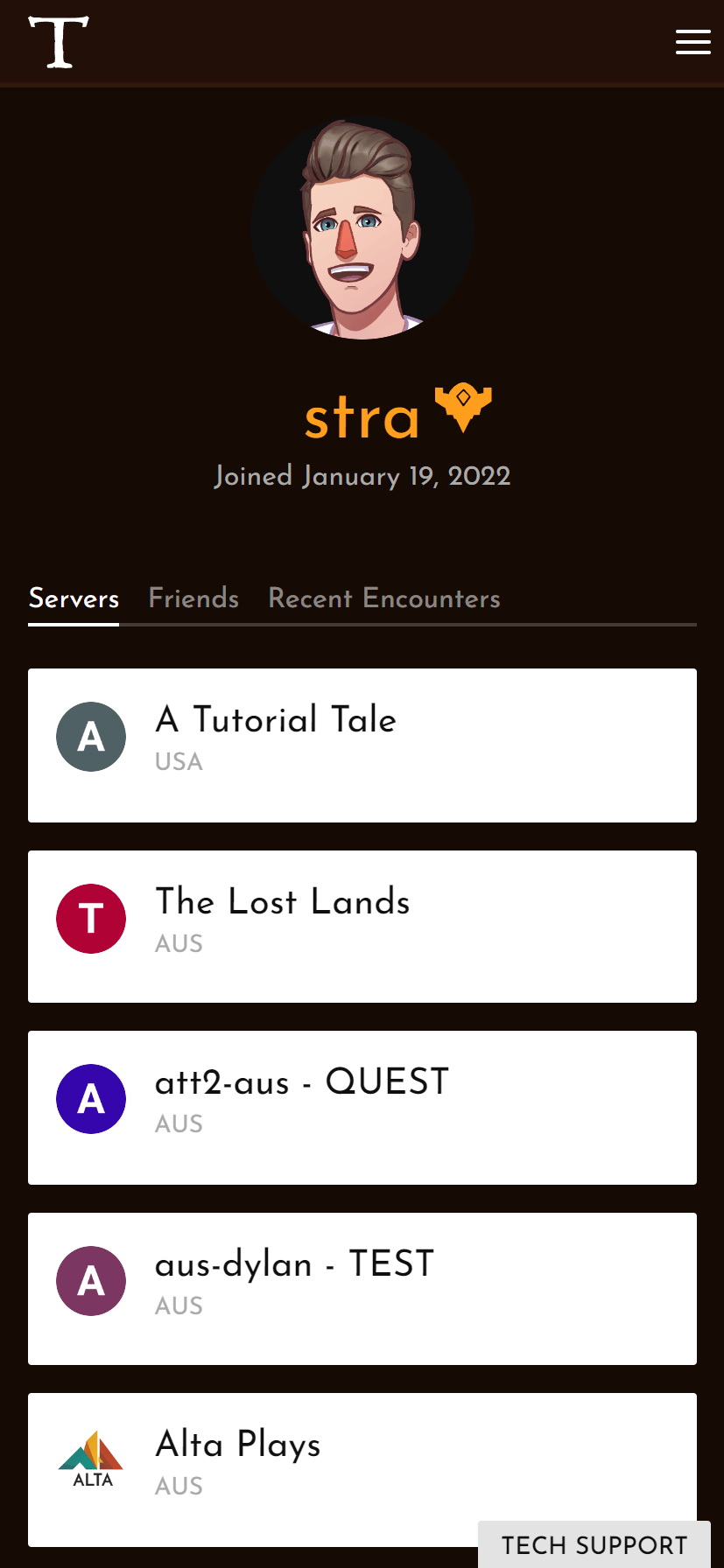 Screenshot of Server Console on mobile